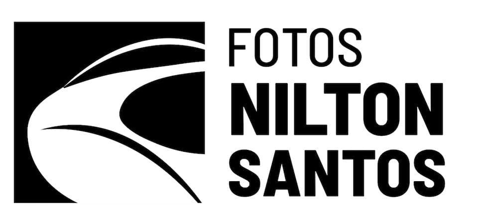 Nilton Santos Stadium logo