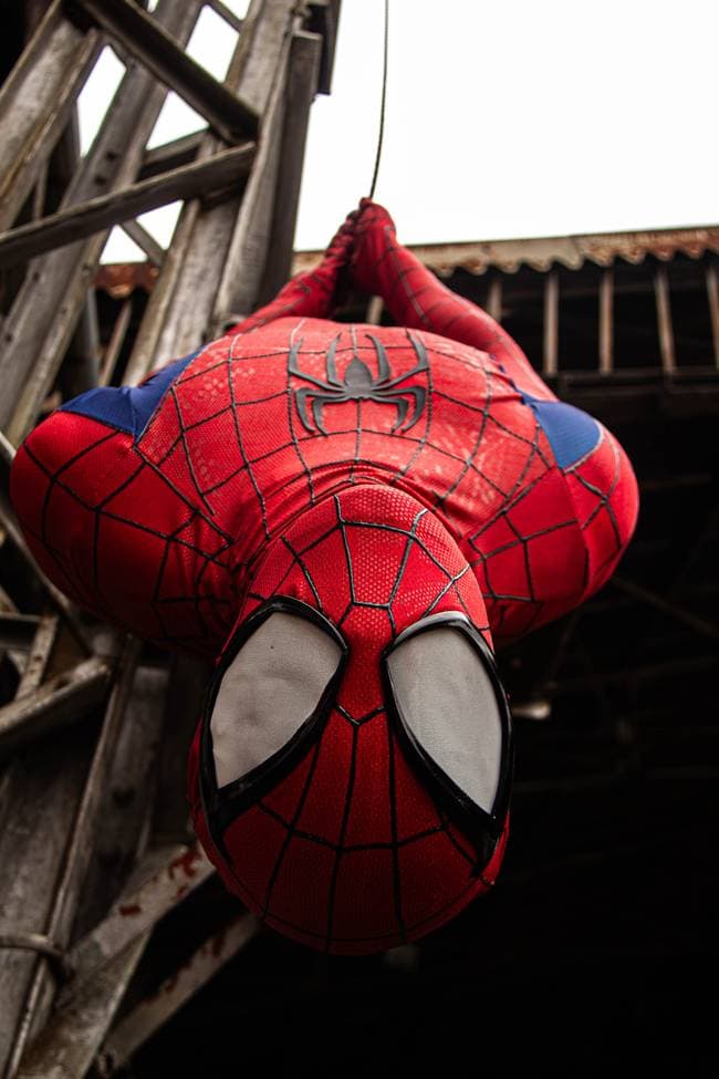 Homem Aranha